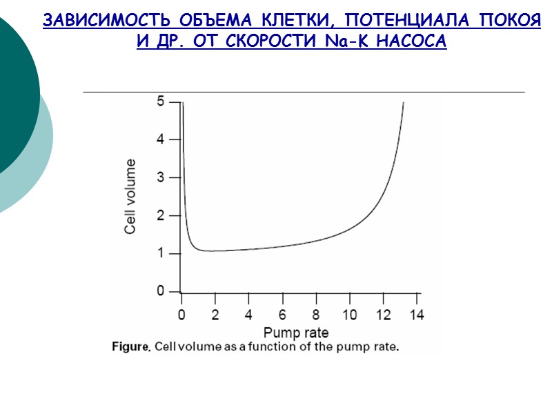ЗАВИСИМОСТЬ ОБЪЕМА КЛЕТКИ, ПОТЕНЦИАЛА ПОКОЯ И ДР. ОТ СКОРОСТИ Na-K НАСОСА